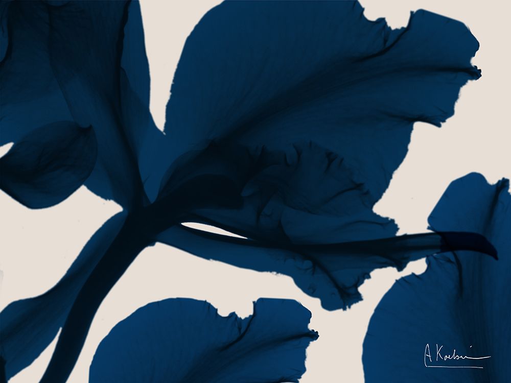 Indigo Blossom 4 art print by Albert Koetsier for $57.95 CAD