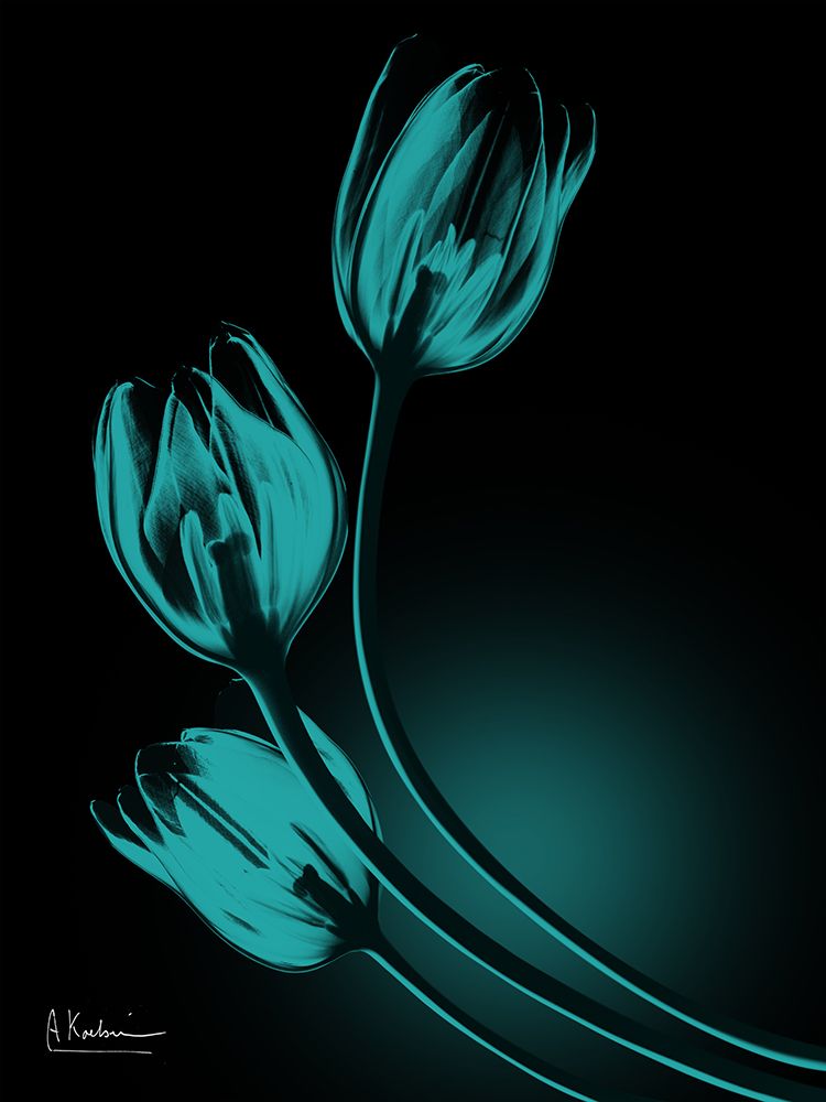 Teal Tulips In Shadow 1 art print by Albert Koetsier for $57.95 CAD