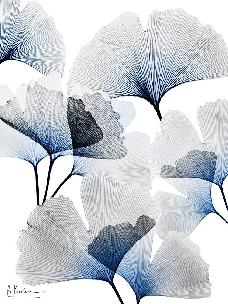 Bright Blue Ginko Bunch 1 art print by Albert Koetsier for $57.95 CAD