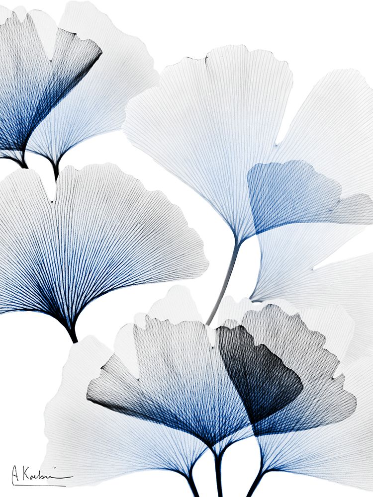 Bright Blue Ginko Bunch 2 art print by Albert Koetsier for $57.95 CAD