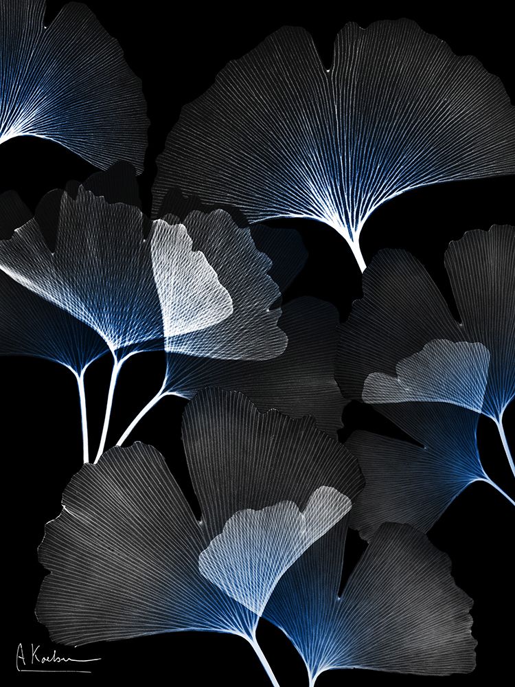 Bright Blue Ginko In Darkness 1 art print by Albert Koetsier for $57.95 CAD
