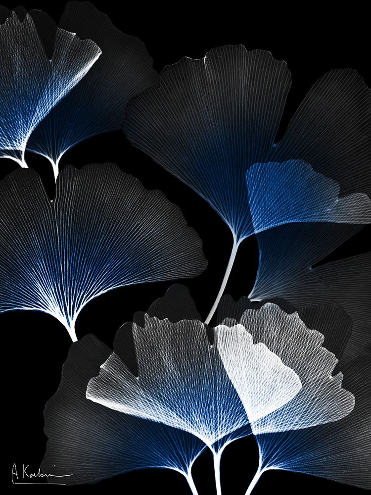 Bright Blue Ginko In Darkness 2 art print by Albert Koetsier for $57.95 CAD