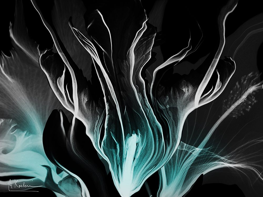 Teal In Darkness 2 art print by Albert Koetsier for $57.95 CAD