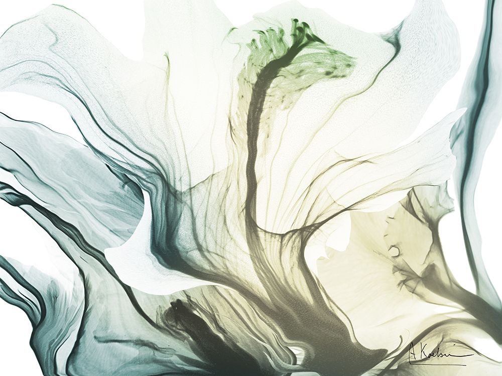 Fanatical Beauty 1 art print by Albert Koetsier for $57.95 CAD