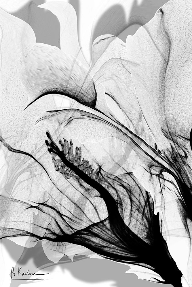 Monochrome Creator 2 art print by Albert Koetsier for $57.95 CAD
