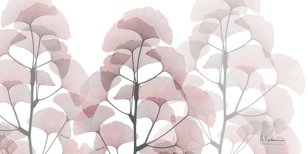 Plentiful Ginko art print by Albert Koetsier for $57.95 CAD