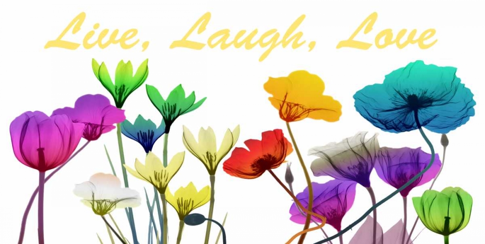 Live Laugh Love art print by Albert Koetsier for $57.95 CAD