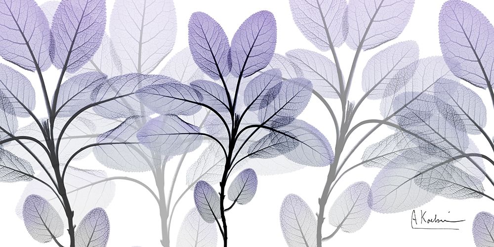 Phenomenal Blooms 1 art print by Albert Koetsier for $57.95 CAD