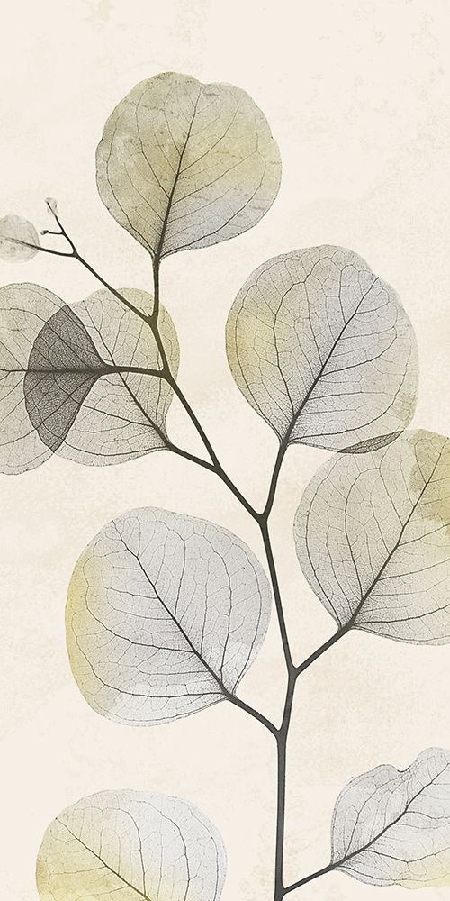 Sunkissed Growth 1 art print by Albert Koetsier for $57.95 CAD
