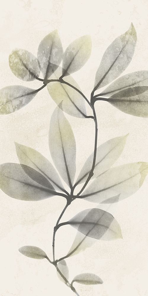 Sunkissed Growth 2 art print by Albert Koetsier for $57.95 CAD