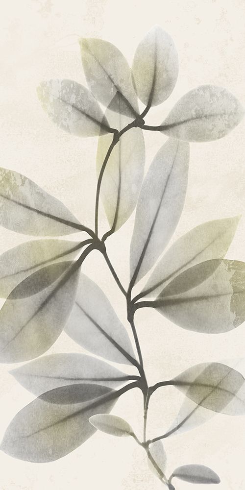 Sunkissed Growth 3 art print by Albert Koetsier for $57.95 CAD