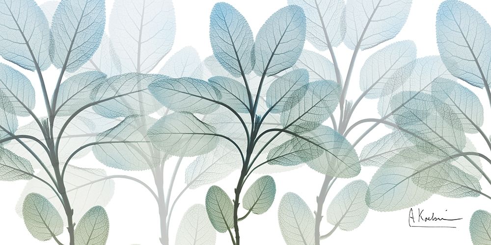 Resilient Blooms 1 art print by Albert Koetsier for $57.95 CAD