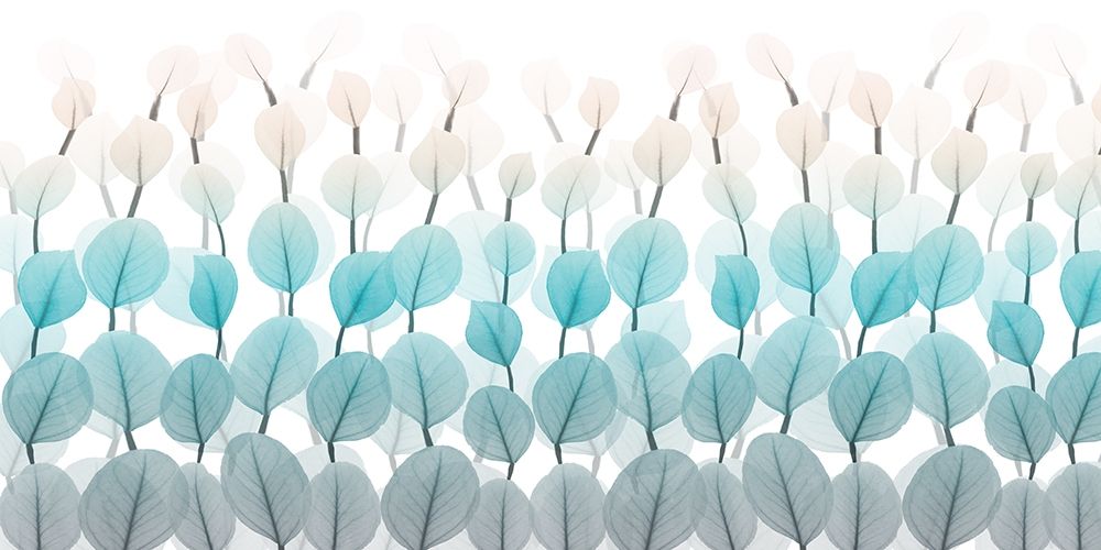 Spring Forward 1 art print by Albert Koetsier for $57.95 CAD
