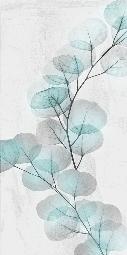 Eucalyptus Glow 2 art print by Albert Koetsier for $57.95 CAD