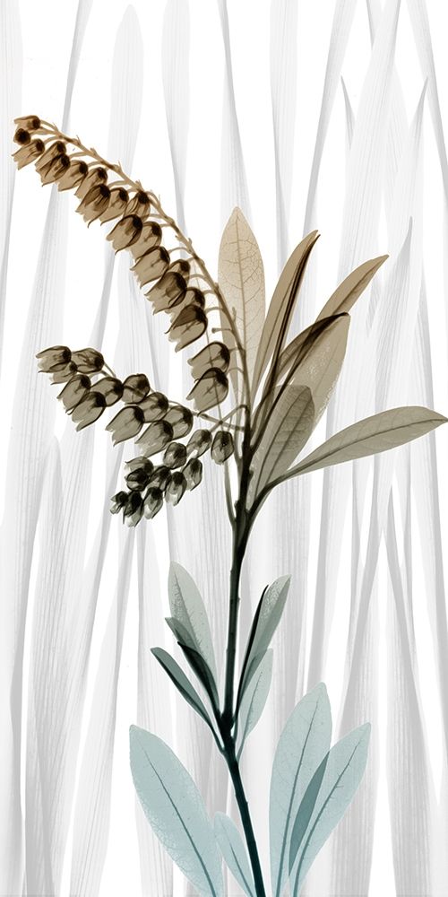 Suave Snowdrops 1 art print by Albert Koetsier for $57.95 CAD