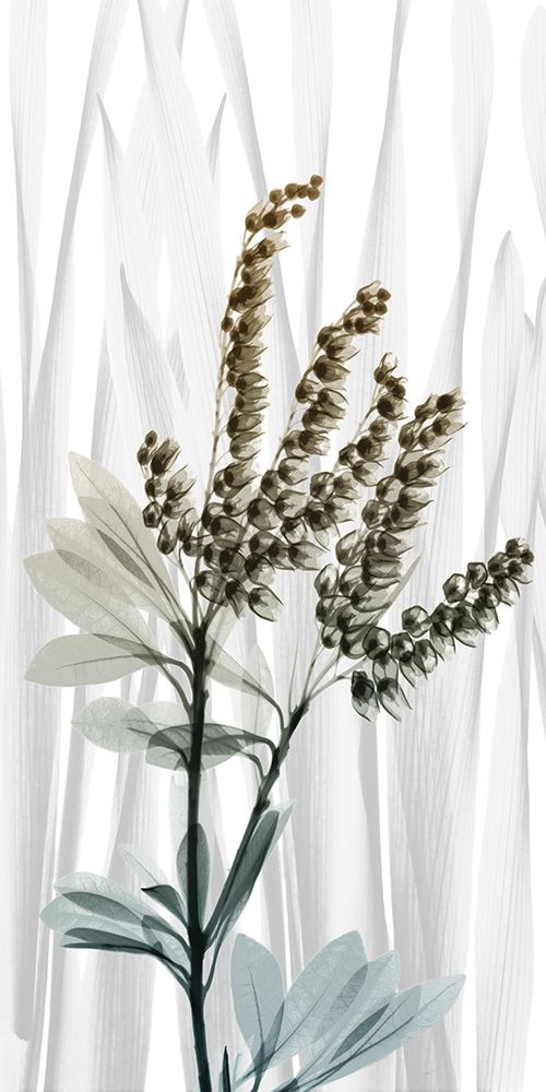 Suave Snowdrops 2 art print by Albert Koetsier for $57.95 CAD