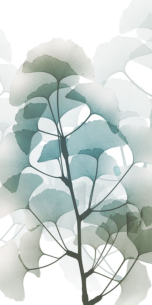 Sea Breeze Ginko 1 art print by Albert Koetsier for $57.95 CAD