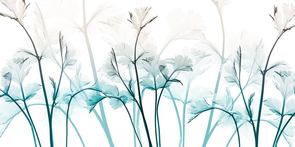 Amethyst Breeze 1 art print by Albert Koetsier for $57.95 CAD