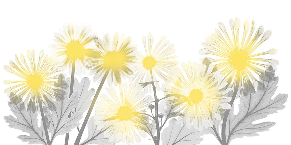 Illuminated Brilliance 1 art print by Albert Koetsier for $57.95 CAD