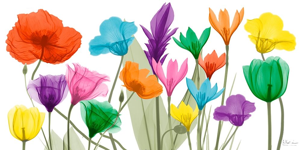 Pretty Floral Jewels 1 art print by Albert Koetsier for $57.95 CAD