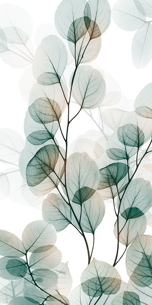 Natural Reach 1 art print by Albert Koetsier for $57.95 CAD