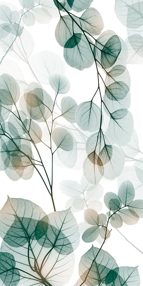 Natural Reach 2 art print by Albert Koetsier for $57.95 CAD