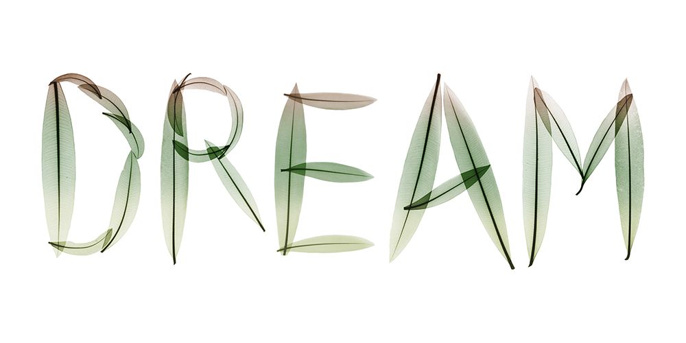 Dream art print by Albert Koetsier for $57.95 CAD