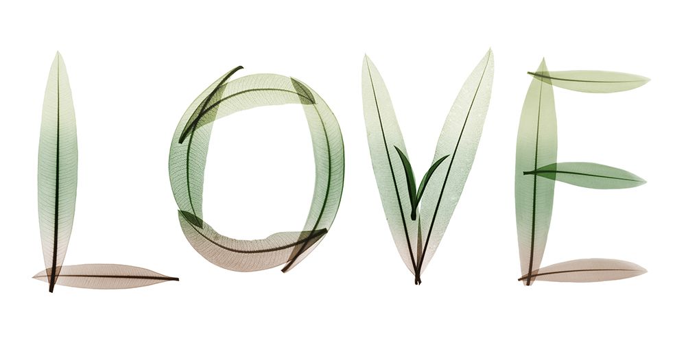 Love art print by Albert Koetsier for $57.95 CAD