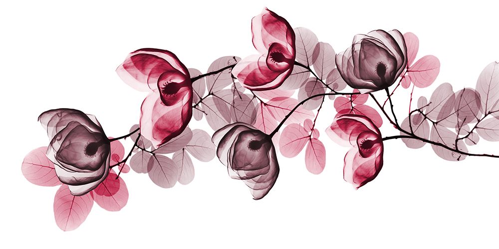 Modest Illuminated Volume art print by Albert Koetsier for $57.95 CAD