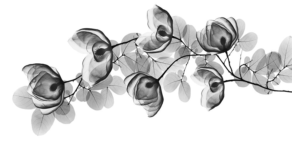Modest Volume art print by Albert Koetsier for $57.95 CAD
