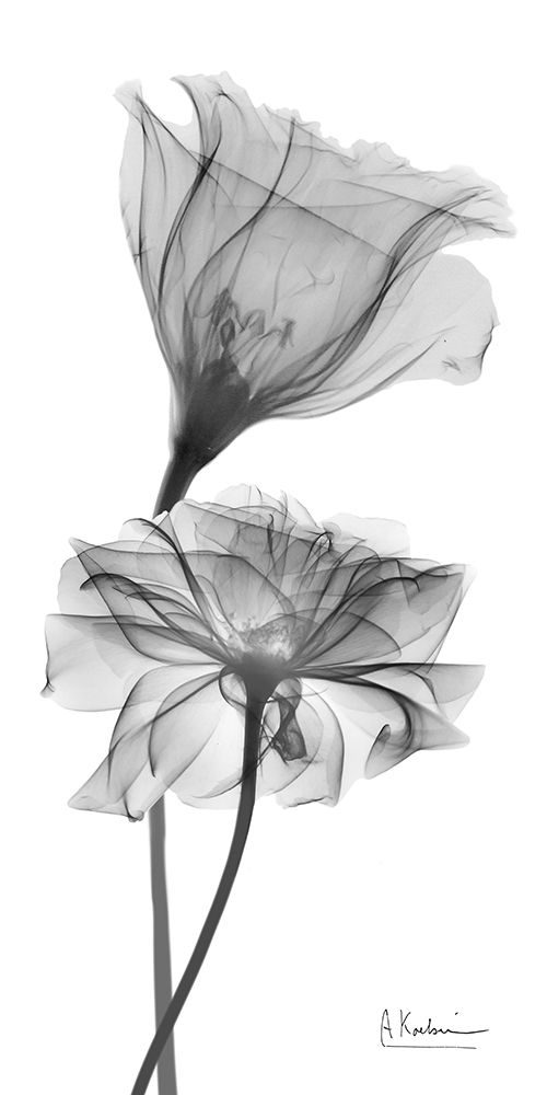 Silent Direction 2 art print by Albert Koetsier for $57.95 CAD