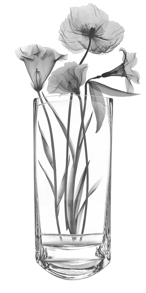 Generous Ideal 2 art print by Albert Koetsier for $57.95 CAD