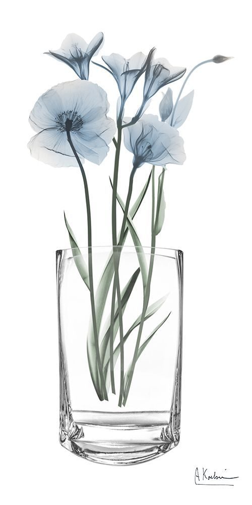 Glacier Florals 1 art print by Albert Koetsier for $57.95 CAD