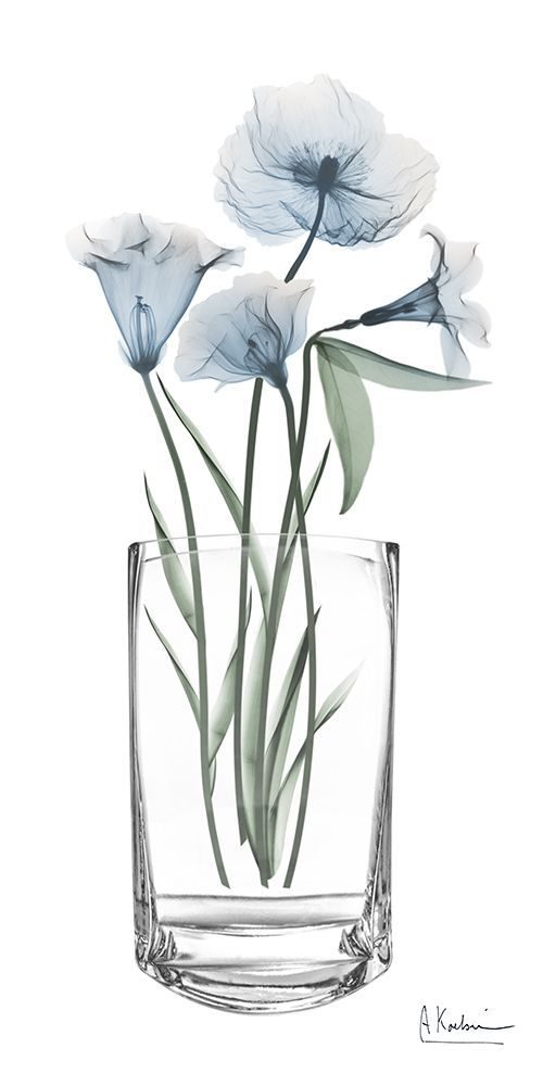 Glacier Florals 2 art print by Albert Koetsier for $57.95 CAD