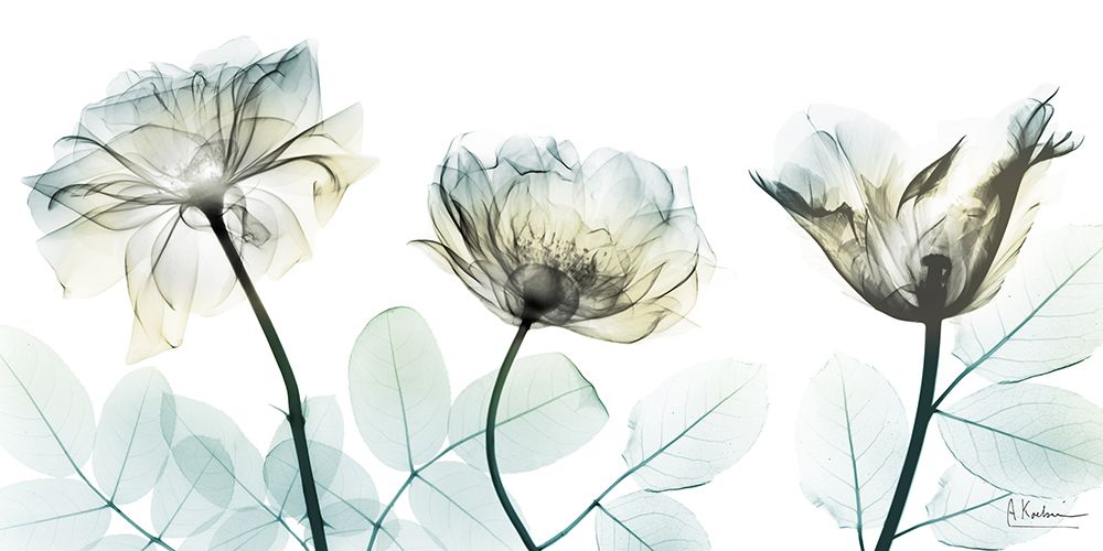 Jewel Of Passion 1 art print by Albert Koetsier for $57.95 CAD