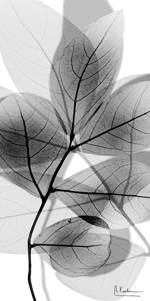 Tranquil Gray Reflection 1 art print by Albert Koetsier for $57.95 CAD