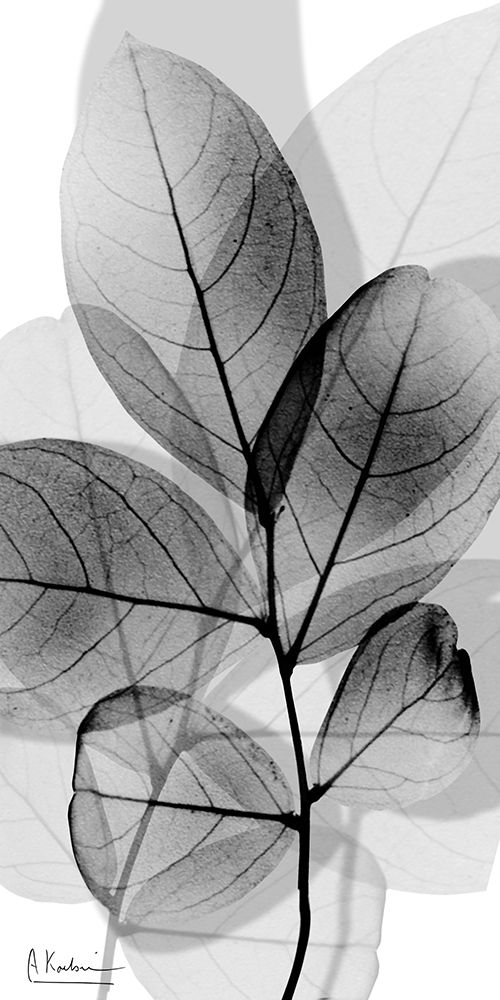 Tranquil Gray Reflection 2 art print by Albert Koetsier for $57.95 CAD