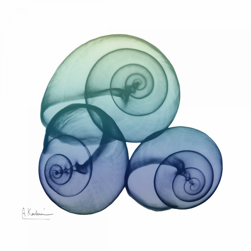 Sea Sky Snails art print by Albert Koetsier for $57.95 CAD