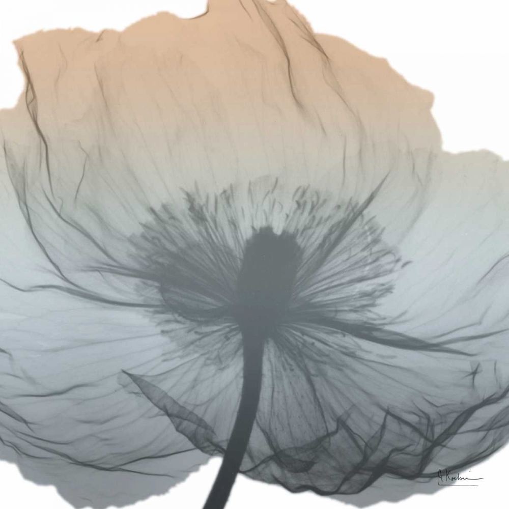 Poppy Earthy Beauty art print by Albert Koetsier for $57.95 CAD