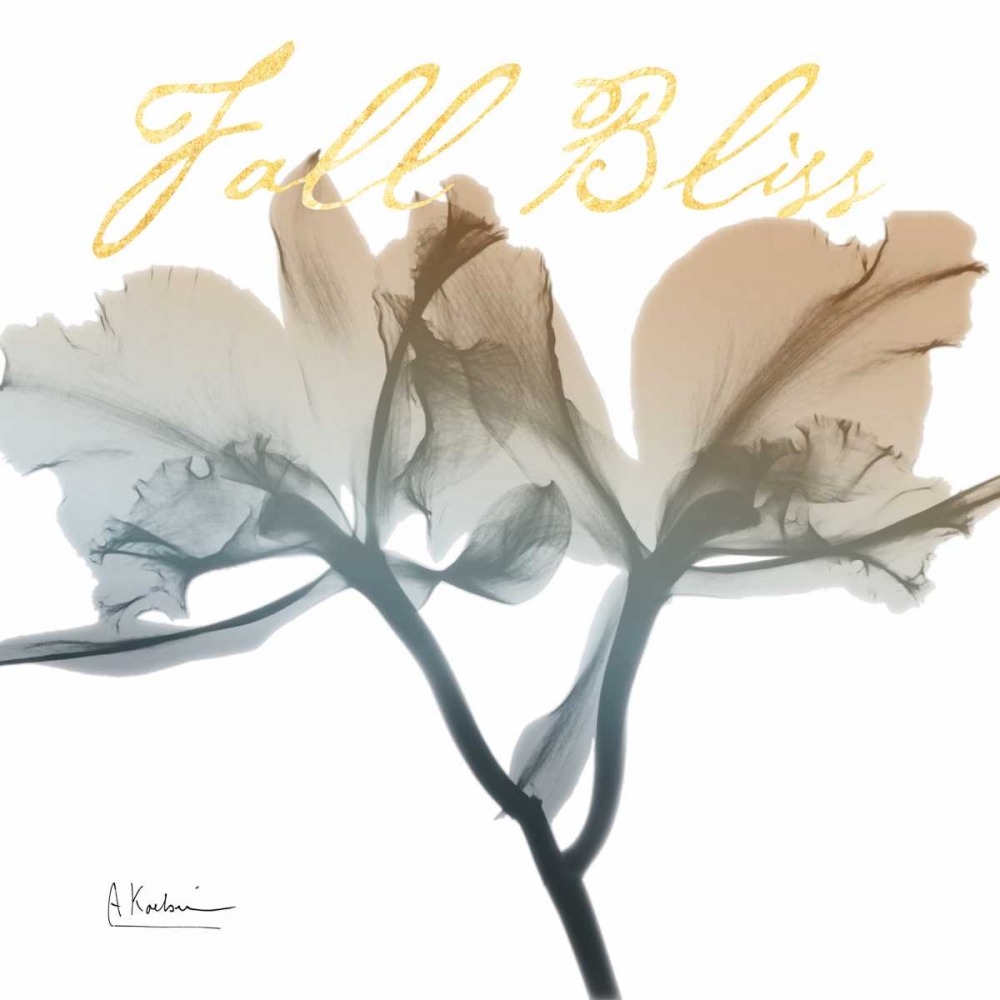 Blessed Orchid art print by Albert Koetsier for $57.95 CAD