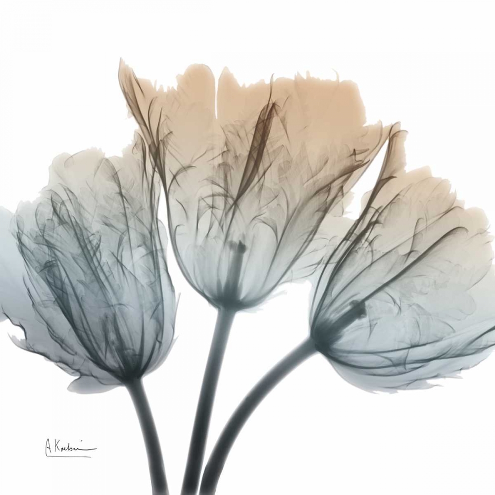 Earthy Tulips art print by Albert Koetsier for $57.95 CAD