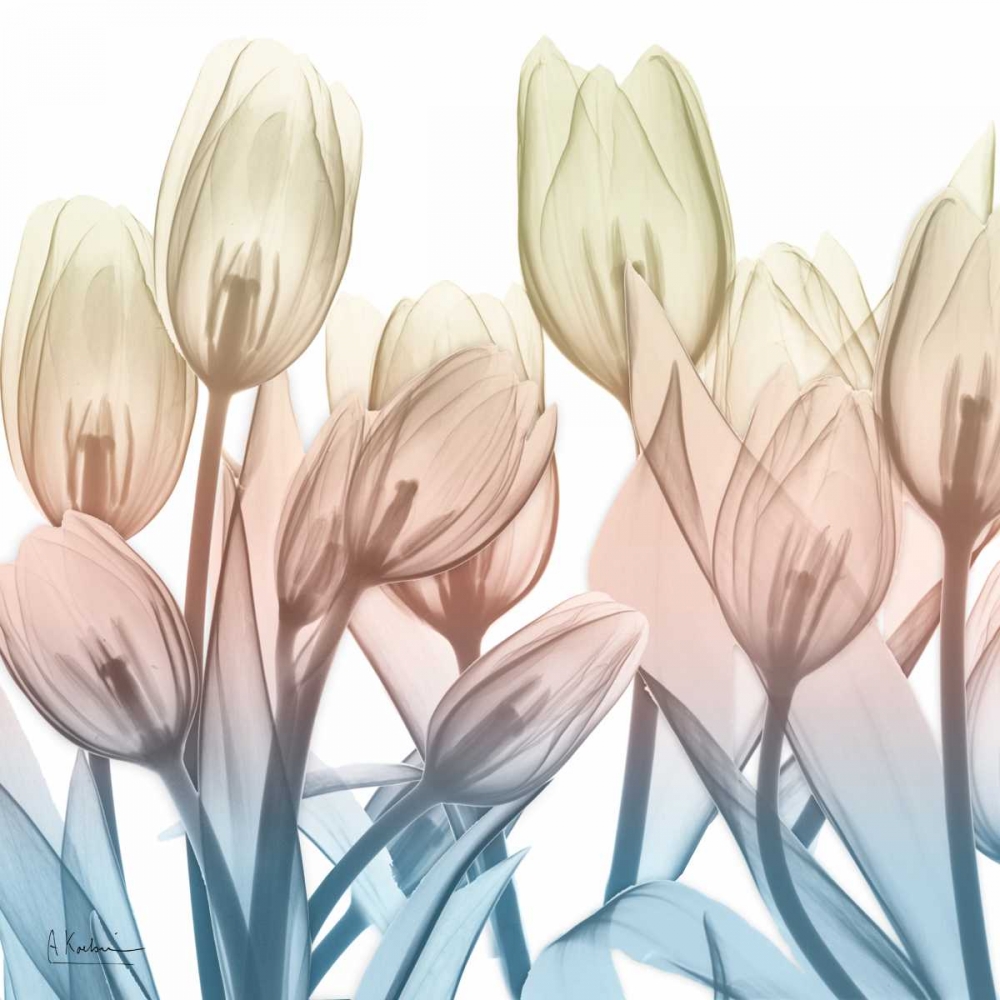 Fantastic Bloom art print by Albert Koetsier for $57.95 CAD