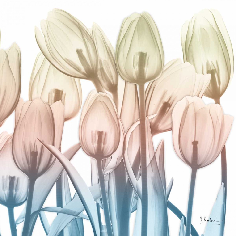 Fantastic Bloom 2 art print by Albert Koetsier for $57.95 CAD