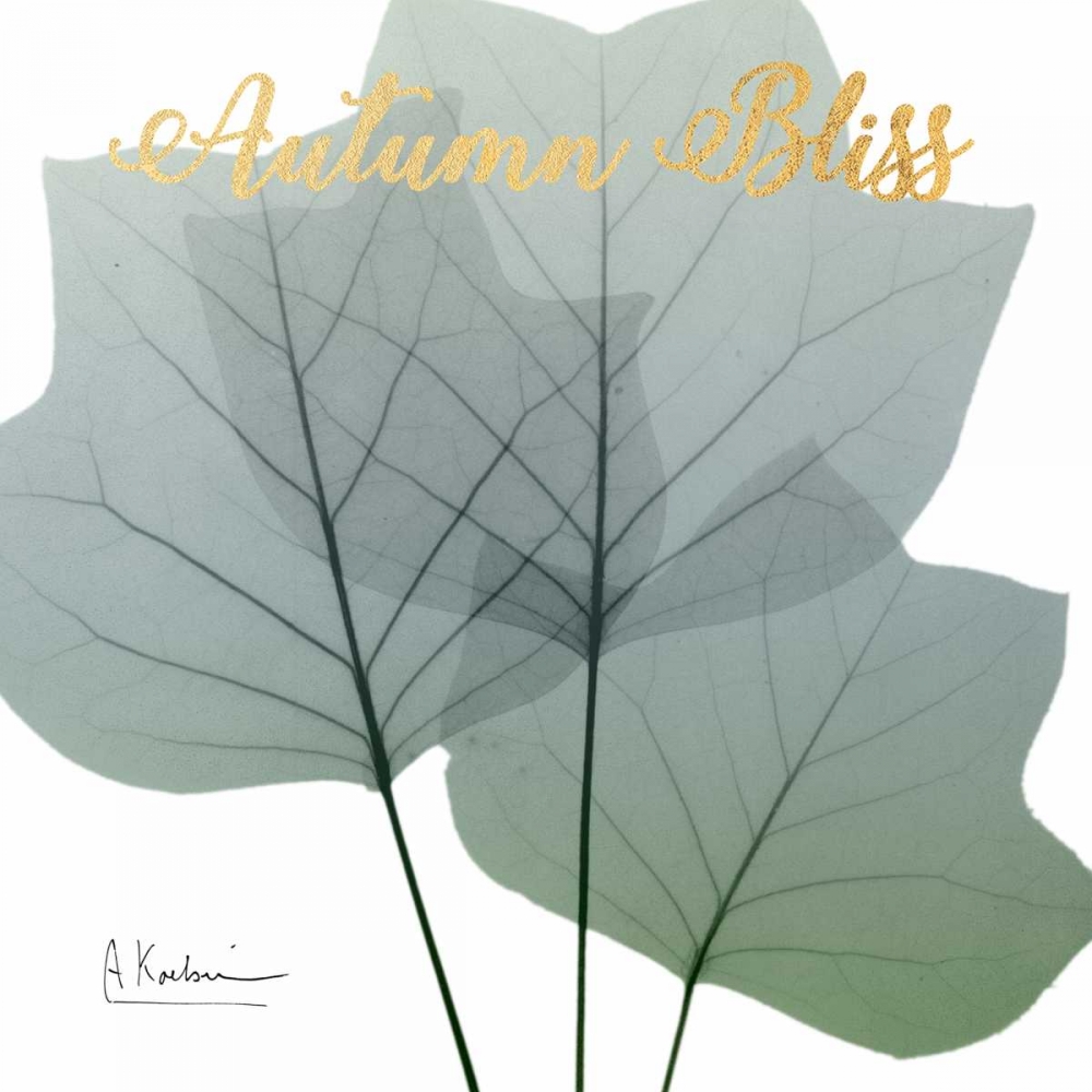 Blissful Rain art print by Albert Koetsier for $57.95 CAD