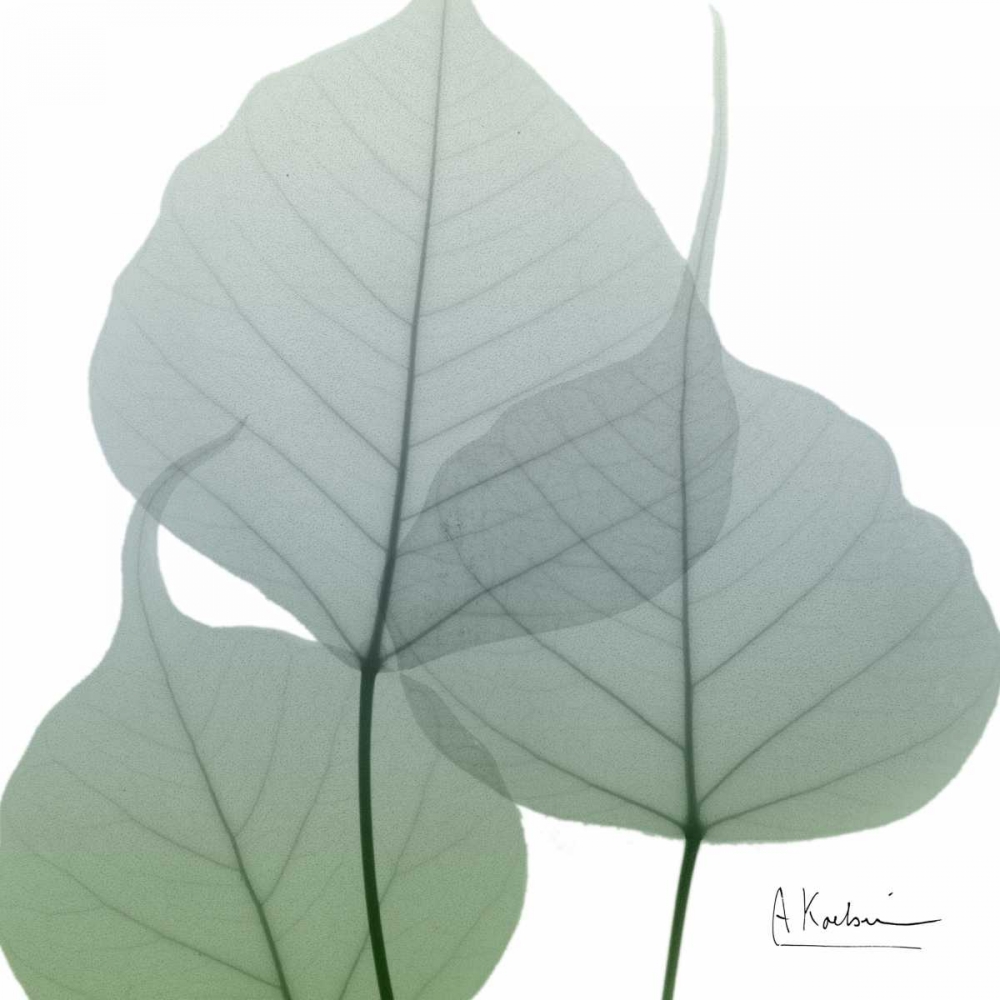 Rainy Bo Tree art print by Albert Koetsier for $57.95 CAD