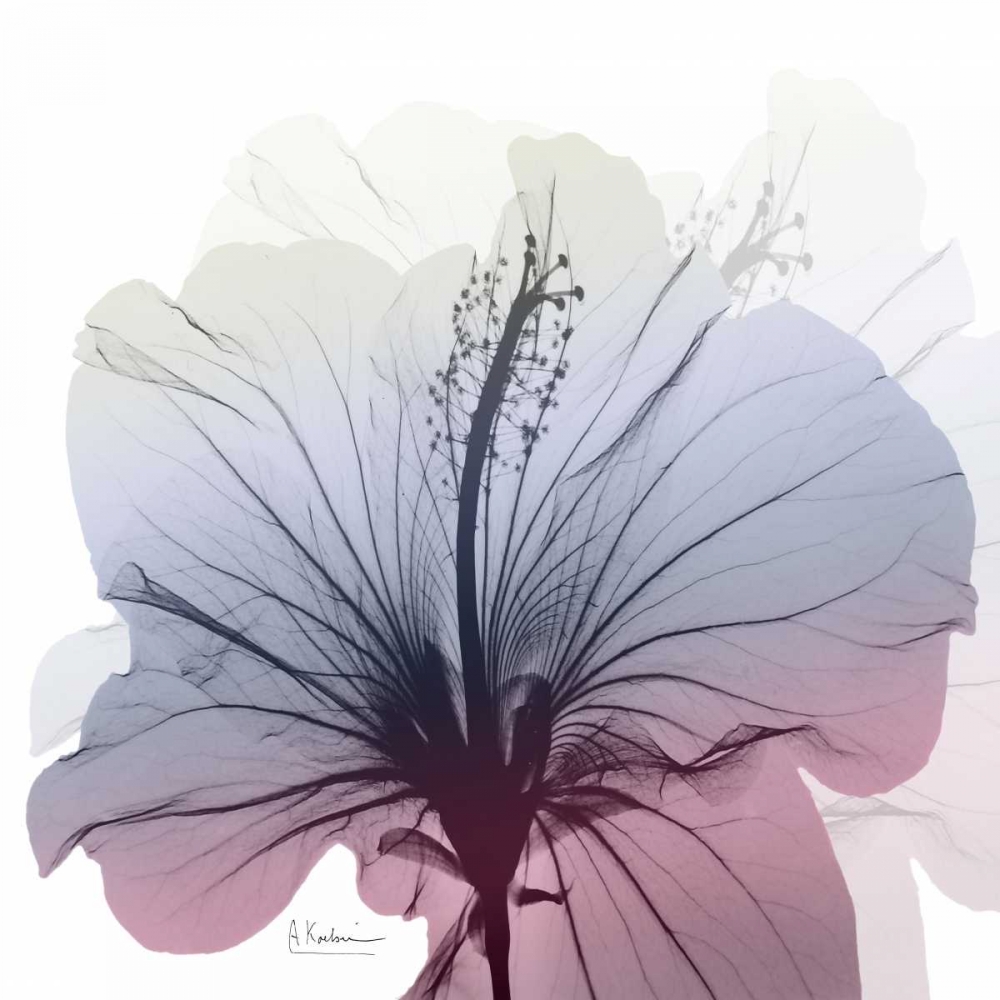 Tasty Grape Hibiscus art print by Albert Koetsier for $57.95 CAD
