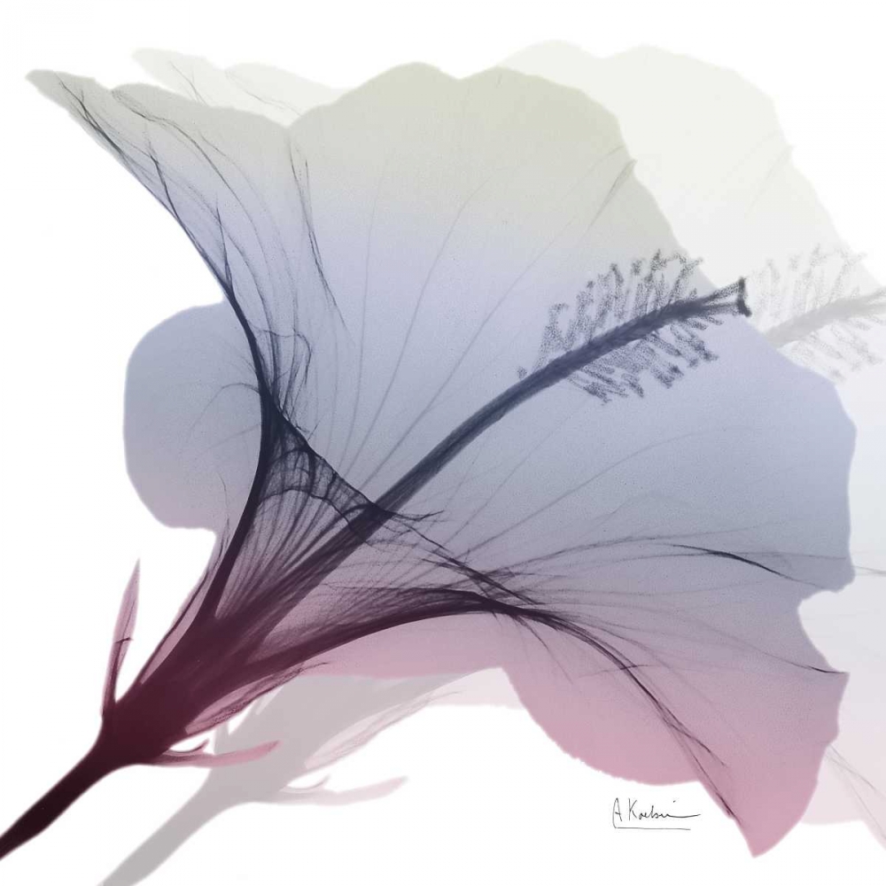 Tasty Grape Hibiscus 2 art print by Albert Koetsier for $57.95 CAD