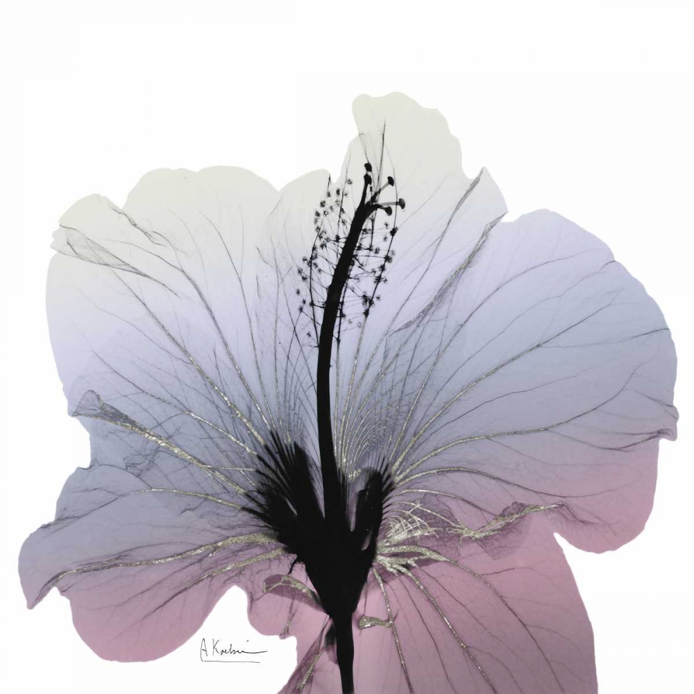Silver Splash 1 art print by Albert Koetsier for $57.95 CAD
