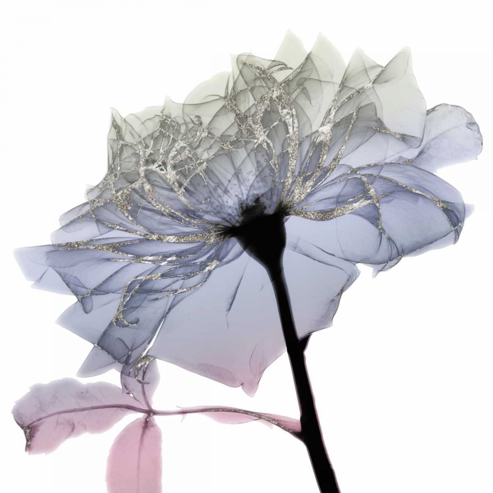 Silver Splash 3 art print by Albert Koetsier for $57.95 CAD