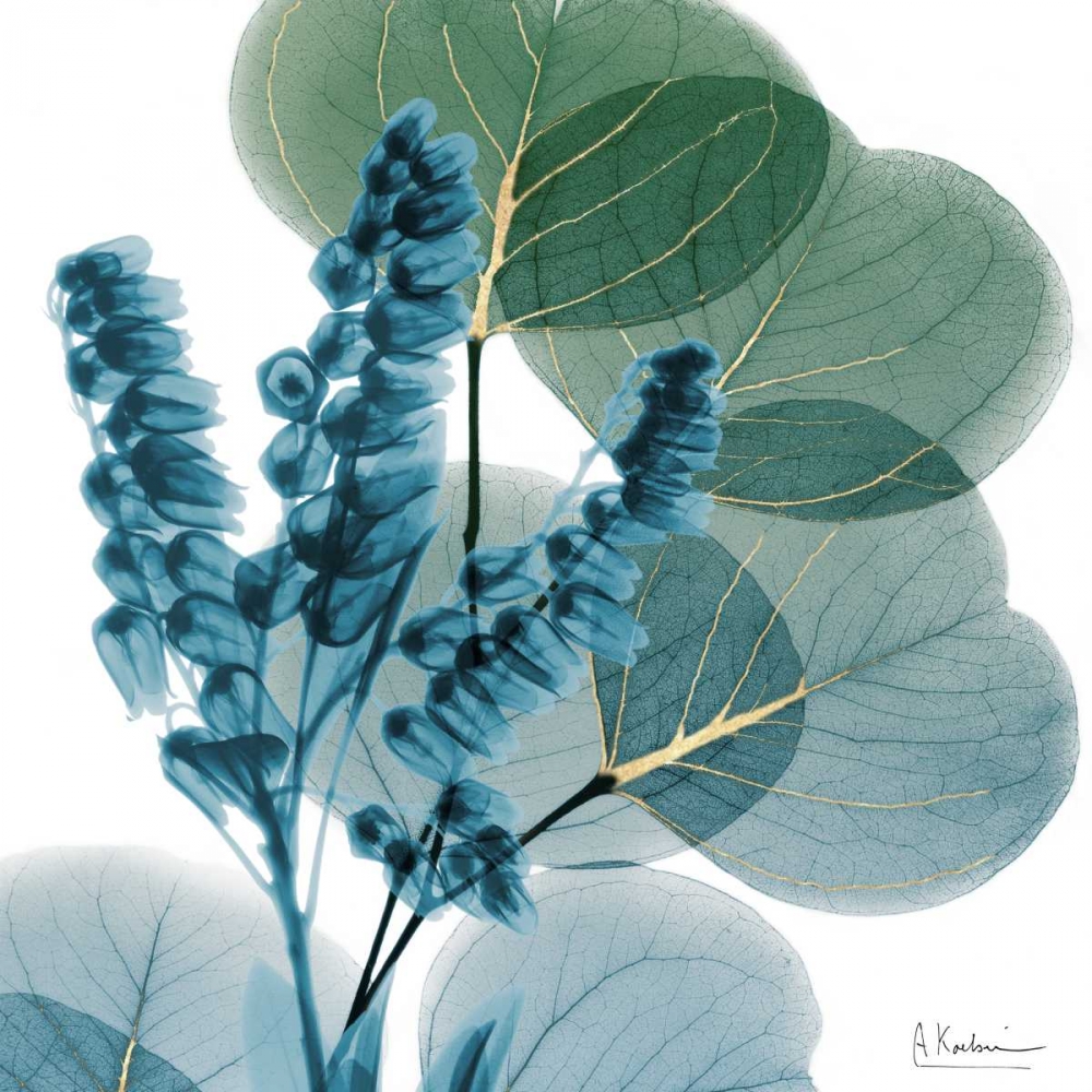 Golden Lilly Of Eucalyptus art print by Albert Koetsier for $57.95 CAD